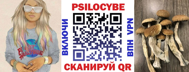 Галлюциногенные грибы MAGIC MUSHROOMS  Красавино 